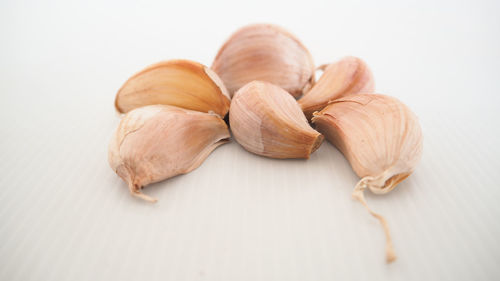Close-up of shells on table against white background