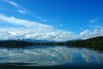 reflection