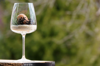 Close-up of bird perching on glass