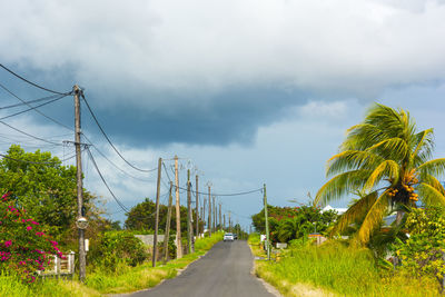 Road amidst trees against sky