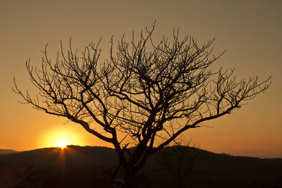 Silhouette bare tree against clear sky during sunset