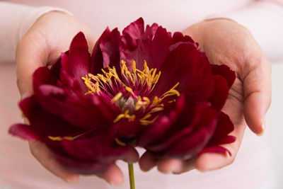 Midsection of woman holding flower