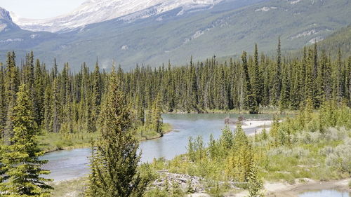 Scenic view of lake and mountains