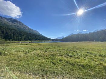 Scenic view of field against bright sun