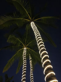 Low angle view of coconut palm tree against sky