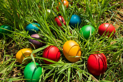 Close-up of multi colored eggs in grass