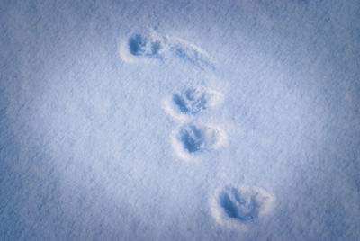 High angle view of footprints in snow