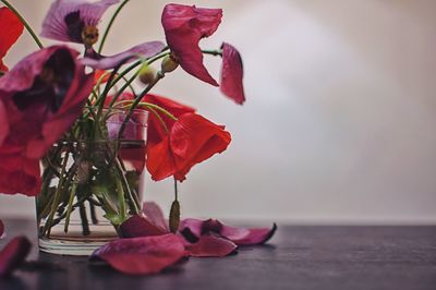Close-up of red roses in vase on table