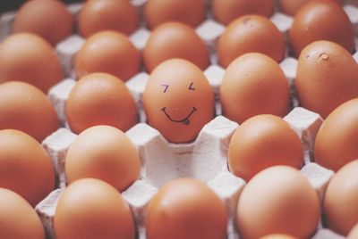 Close-up of brown eggs in carton