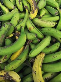 Full frame shot of green fruits for sale in market