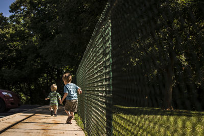 Rear view of brothers walking on footpath by fence