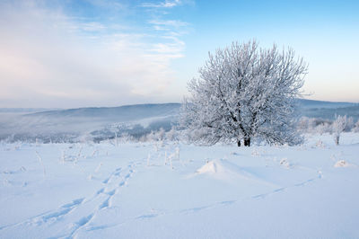 Beautiful winter landscapes in the valleys