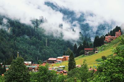 Houses amidst trees and buildings against sky