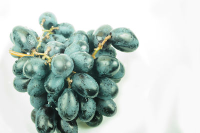 Close-up of blueberries against white background