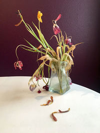 Close-up of vase on table