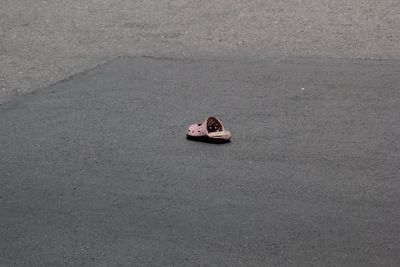 A shoe that fell on the road