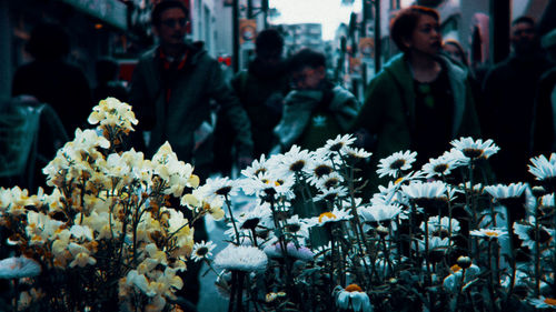 Group of people at market in city