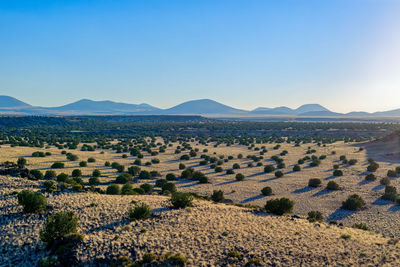 Scenic view of landscape against clear sky