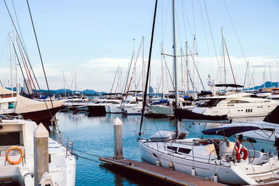 Sailboats moored in harbor