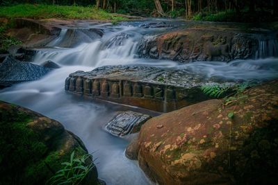 Scenic view of waterfall in forest