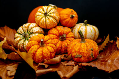 Close-up of pumpkins against orange background