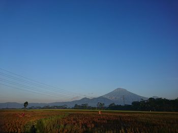 Scenic view of field against clear blue sky