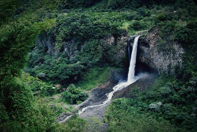 View of waterfall in forest