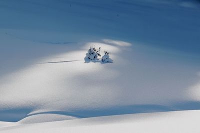 Bicycle on snow covered landscape