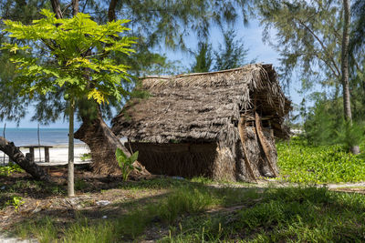 Trees on field by house against sky