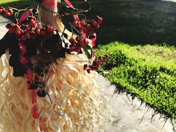 Close-up of red flowers