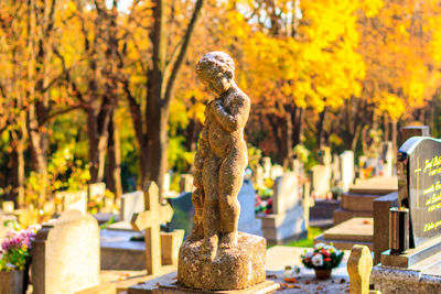 Close-up of statue in park