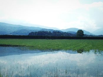 Scenic view of lake against sky