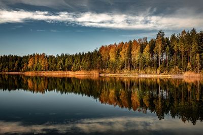 Reflection of trees in lake against sky