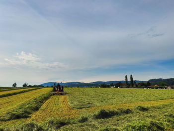 Scenic view of agricultural field against sky
