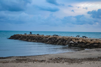 Scenic view of sea against sky