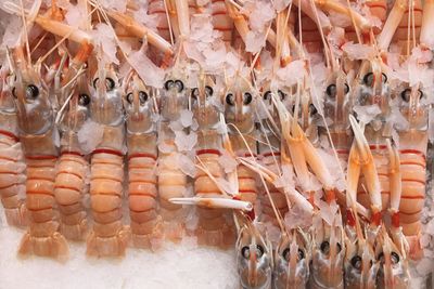 Close-up of fish for sale in market