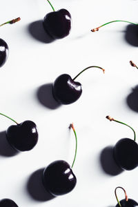 High angle view of black coffee on white background