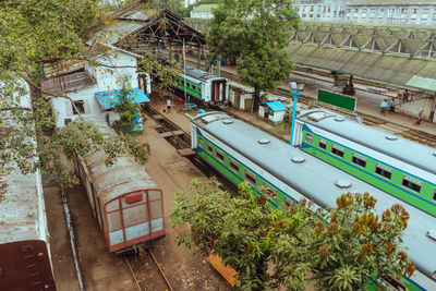 High angle view of tree by building