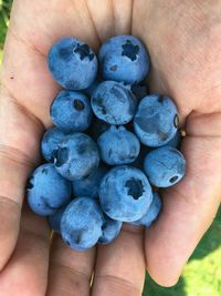 Close-up of hand holding fruit