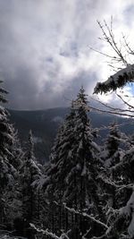 Scenic view of landscape against cloudy sky