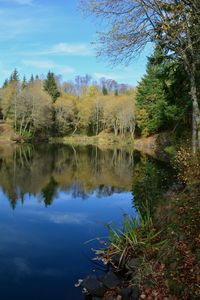 Scenic view of lake in forest against sky