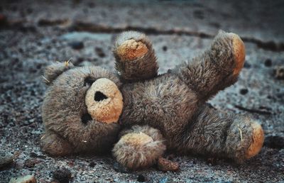 Close-up of abandoned teddy bear on road