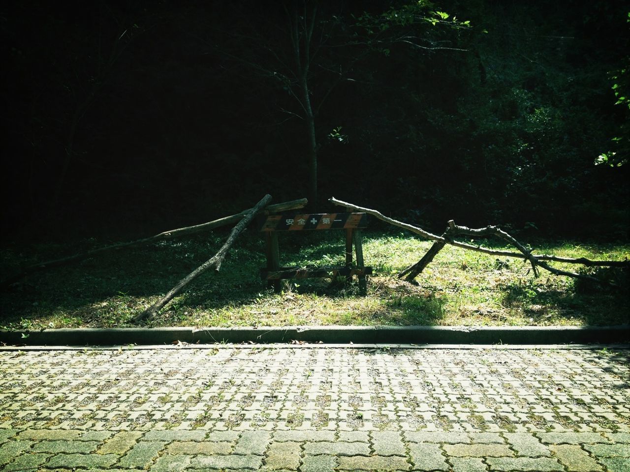 tree, the way forward, connection, railing, footpath, growth, outdoors, built structure, walkway, no people, transportation, tranquility, nature, street light, empty, fence, plant, absence, day, cobblestone