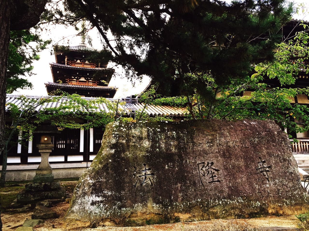 building exterior, architecture, built structure, tree, house, low angle view, place of worship, religion, growth, sunlight, spirituality, window, residential structure, residential building, day, outdoors, facade, no people, sky, temple - building