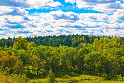 Scenic view of trees growing on field against cloudy sky