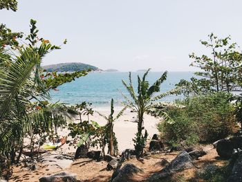 Scenic view of sea against clear sky
