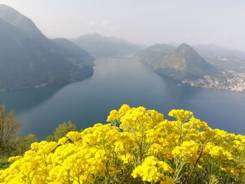 Scenic view of yellow and mountains against sky