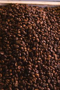 roasted coffee bean