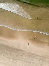 Aerial view of people at beach