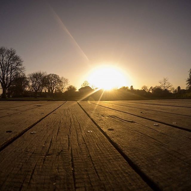 sun, sunlight, sunbeam, sunset, lens flare, the way forward, sky, tree, clear sky, wood - material, tranquility, nature, tranquil scene, sunny, outdoors, diminishing perspective, no people, landscape, vanishing point, shadow